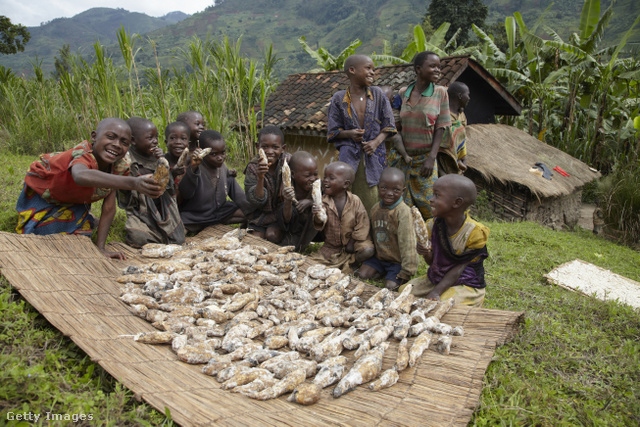 A burundi fiataloknak nem jók a jövőbeni kilátásaik