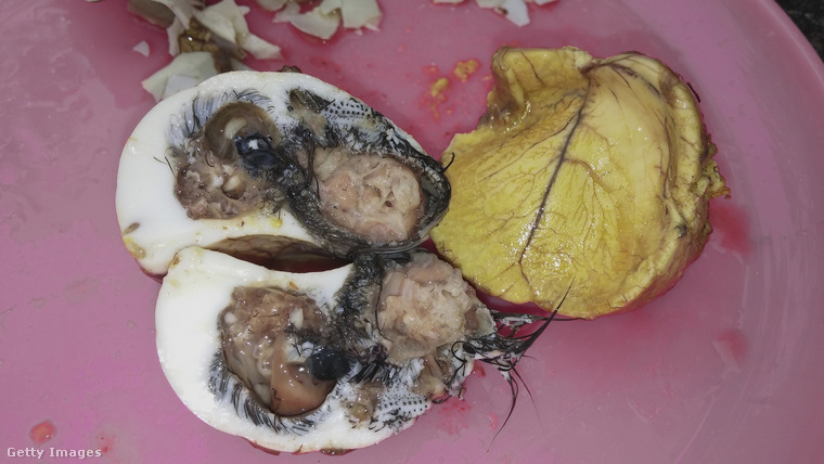 Balut&nbsp;A balut egy vietnami és filippínó specialitás, amely egy részben kifejlődött kacsaembriót rejt a tojáshéj alatt