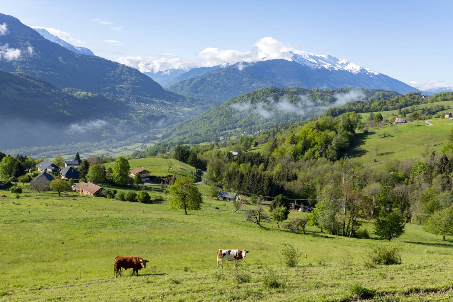 Massif des Bauges park