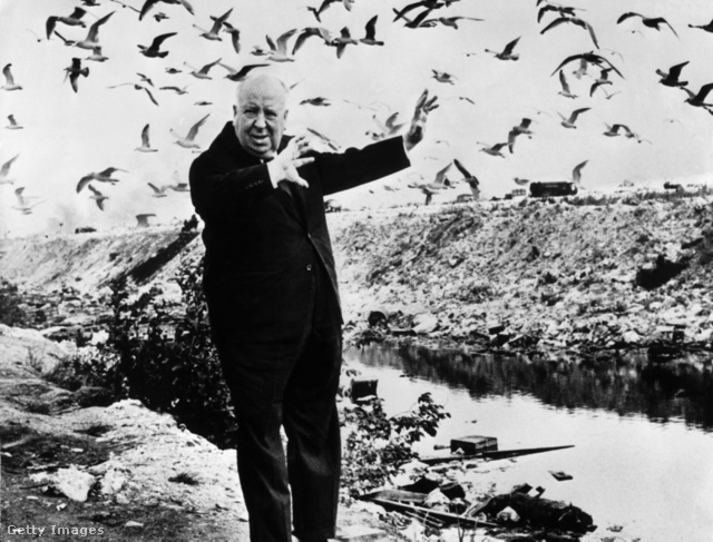 Alfred Hitchcock Madarak című filmje még ma is sokakban félelmet kelt