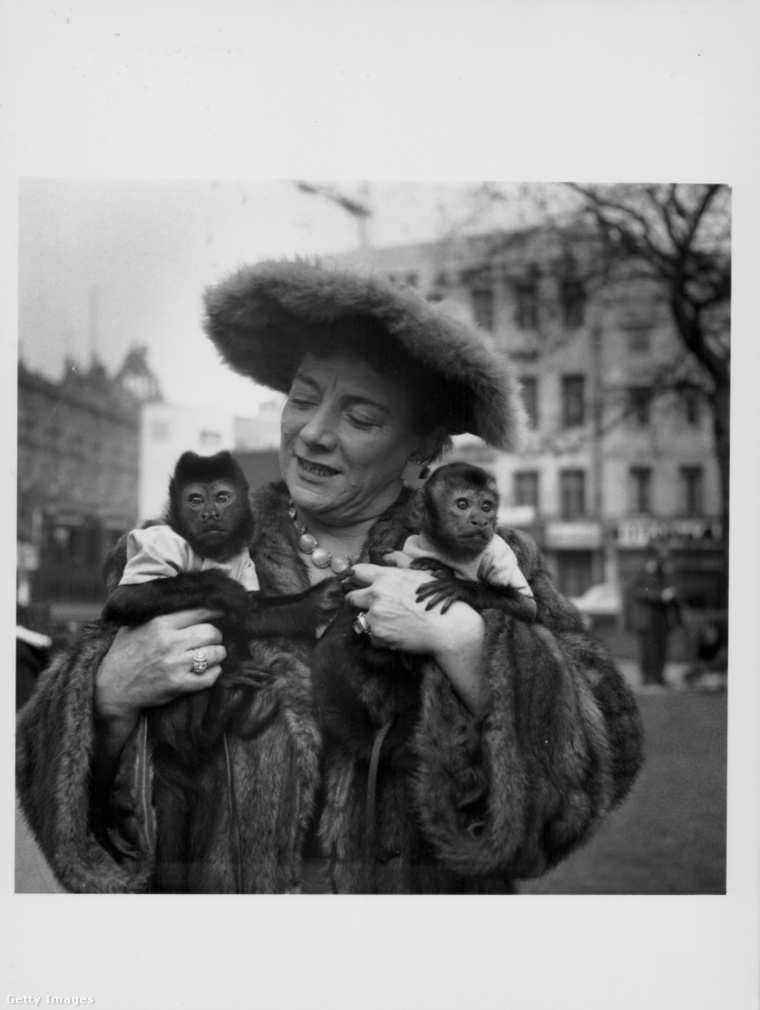 Hylda Baker humorista és majmai. (Fotó: Keystone Features / Getty Images Hungary)