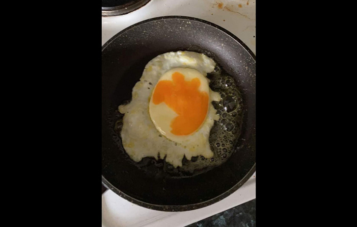 h MDRUM Fried Egg Face Trump-9