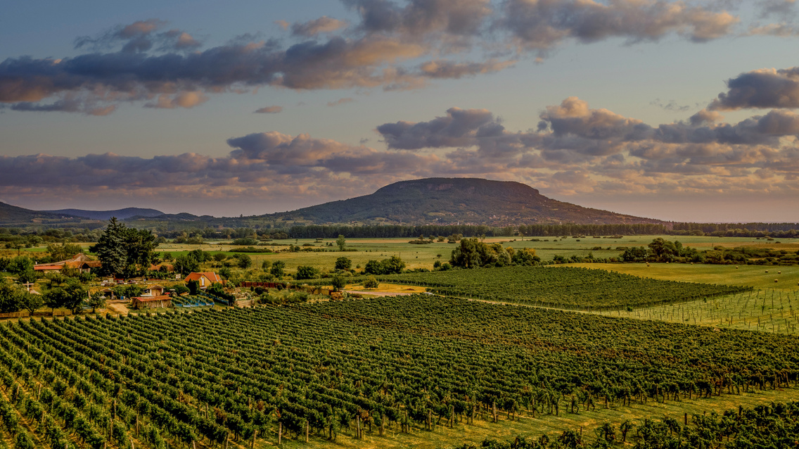 visitbalaton (5)