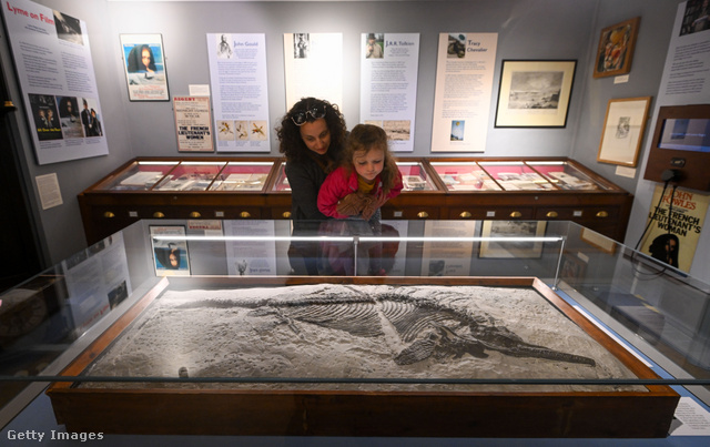 Muchos de los fósiles encontrados por Mary Anning todavía se exhiben en el Museo de Historia Natural de Londres.