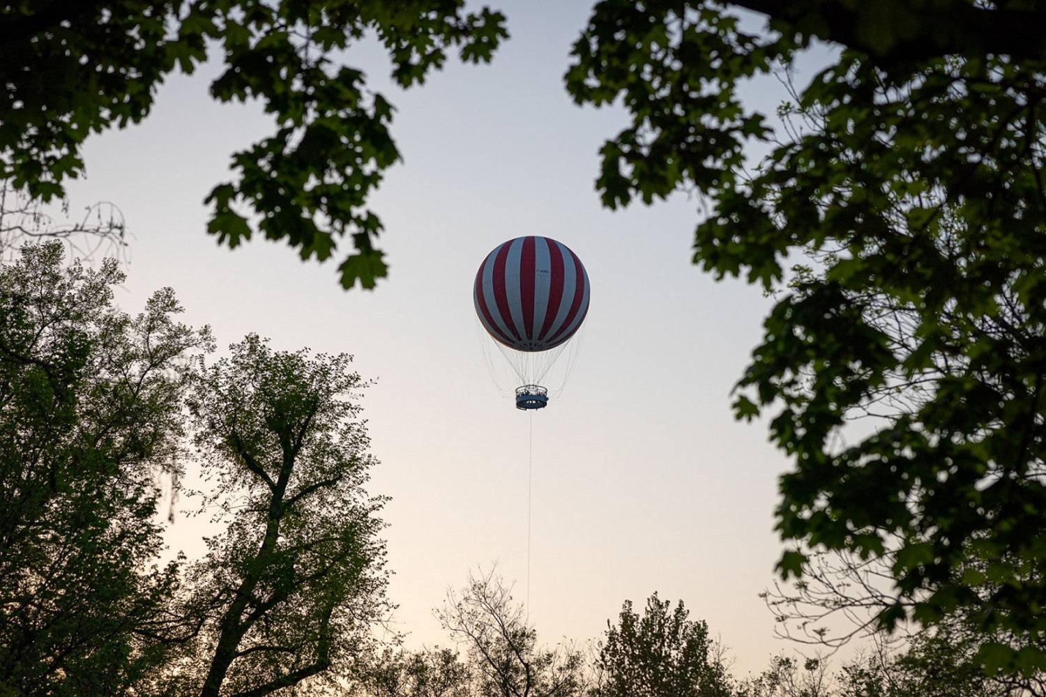 A-BalloonFly-körül-pedig-mintegy-3.000-m2-en-megújították-a-növé