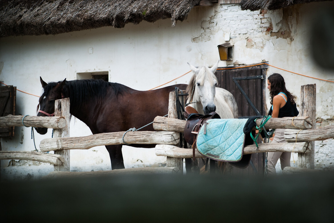 sb-20150731-szantodpuszta-szantod-dsc-0071-gr