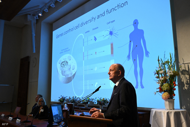 Olle Kaempe bemutatja Victor Ambros és Gary Ruvkum kutatási eredményeit a 2024. évi fiziológiai és orvostudományi Nobel-díj nyerteseinek kihirdetésekor a stockholmi Karolinska Intézetben 2024. október 7-én