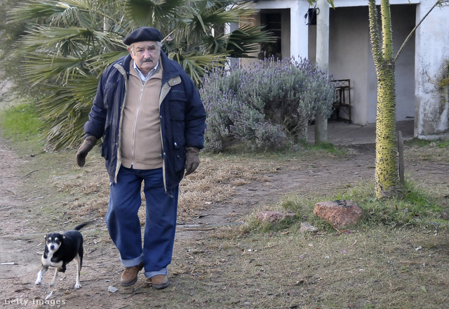 A legszegényebb elnök, José Mujica még betegen is fontos ügyekért tesz