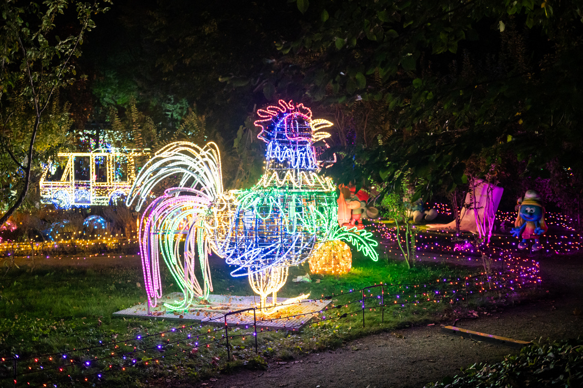 Garden Of Lights Füvészkert 047 Medgyesi Milán 20241016