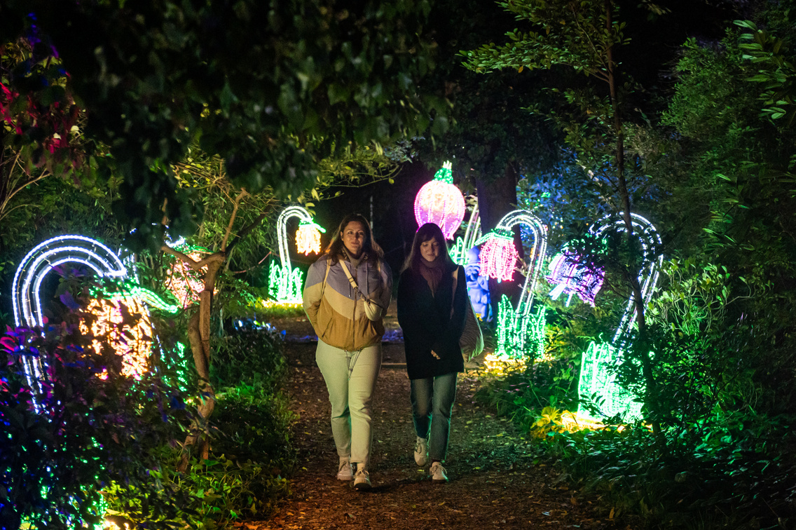 Garden Of Lights Füvészkert 042 Medgyesi Milán 20241016