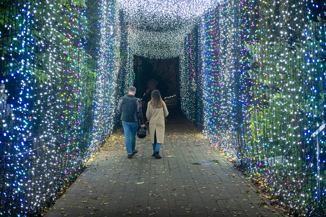 Garden Of Lights Füvészkert 030 Medgyesi Milán 20241016