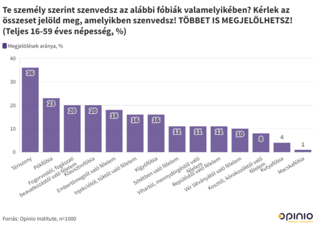 Ezek a magyarok leggyakoribb félelmei