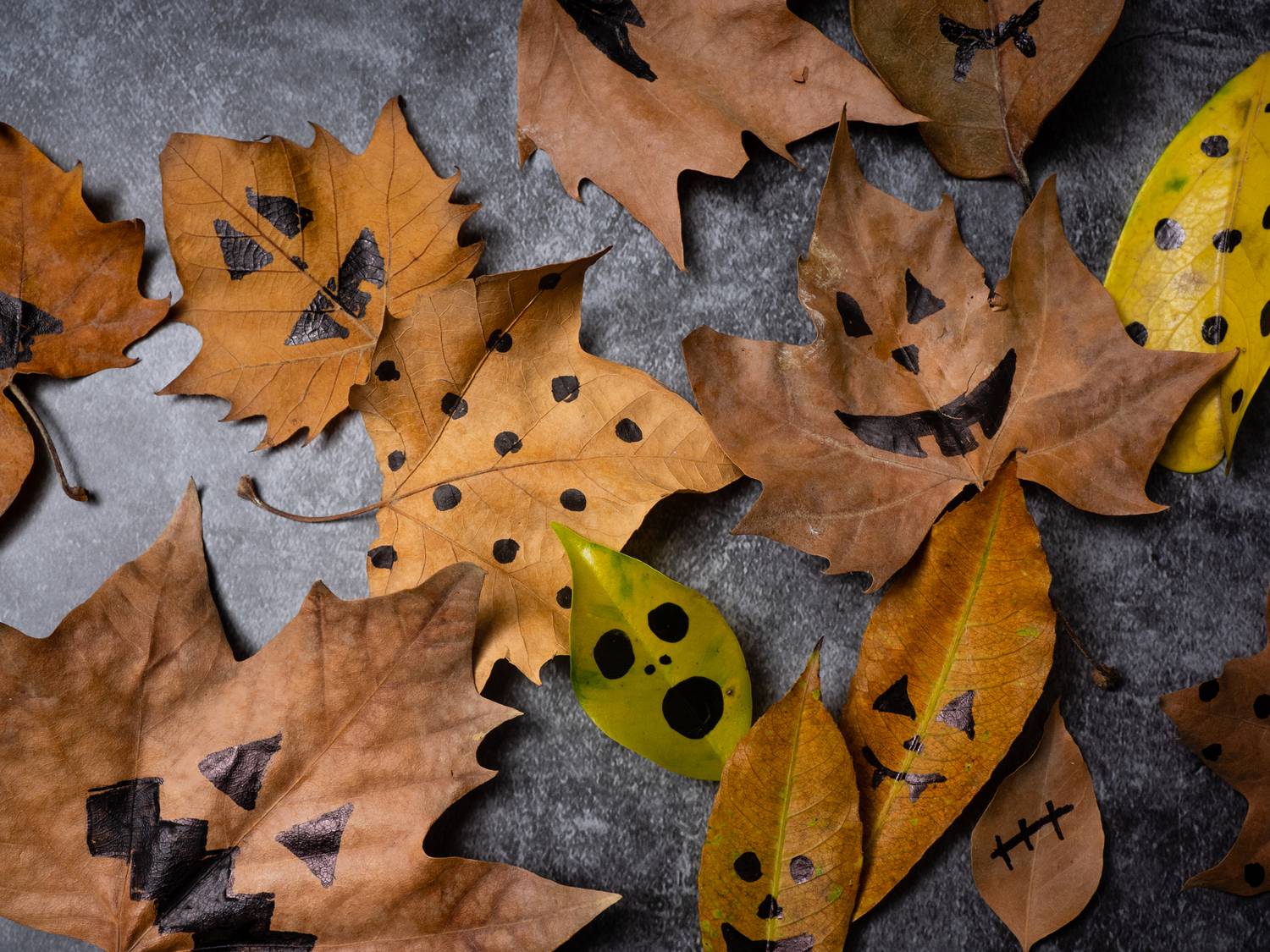 A szárított falevelek önmagukban is nagyon szépek. Egy fekete filctoll segítségével halloween alkalmából festhetsz is rájuk, akár egy tálcán az asztalon, akár az ablakba lógatva is klassz dekoráció lesz.