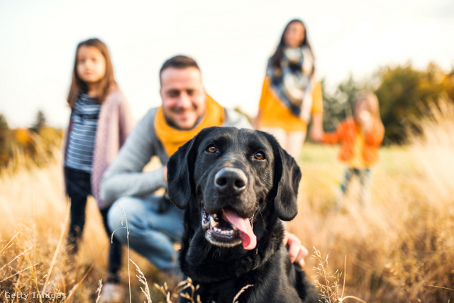 Ismét itt az izgalmas rendezvény, a DOGZ Falkaséta