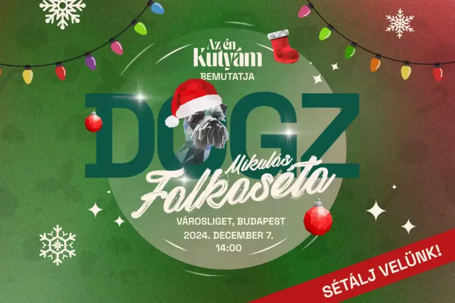 Dogz Konferencia2