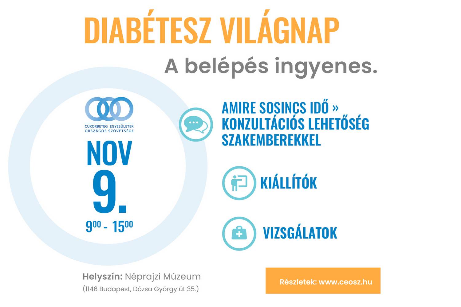 diabetes vilagnap event 2024