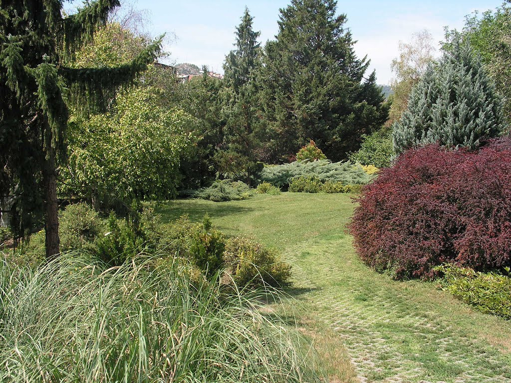 mate budai arboretum