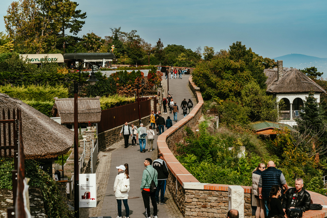 pisky-setany-tihany-korso-tamas-15