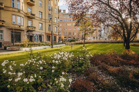 Lövészek, orvosok és a vérfürdő tere – A Széna tér története