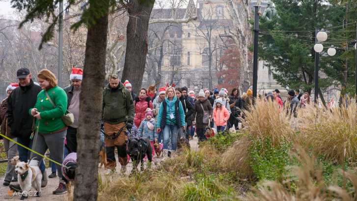 Gyönyörű helyszíneken vonult végig a falkaséta, a város legmenőbb parkjában