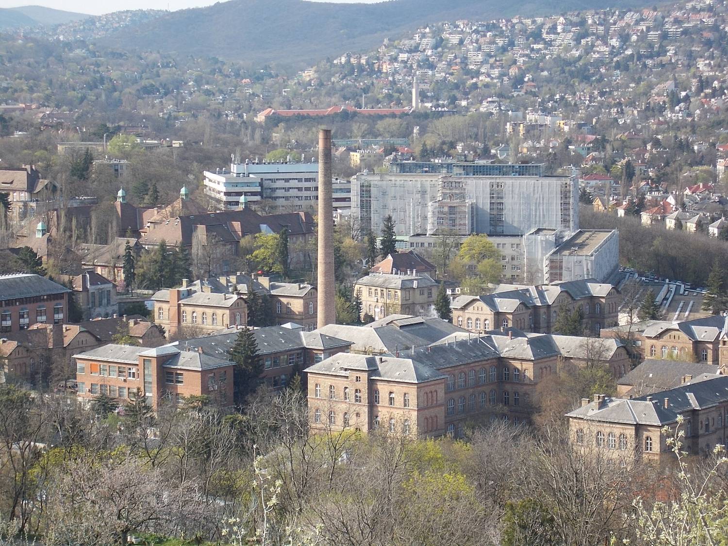 Kis-Sváb Hill Protection Area. View to János Hospital. - Budapes