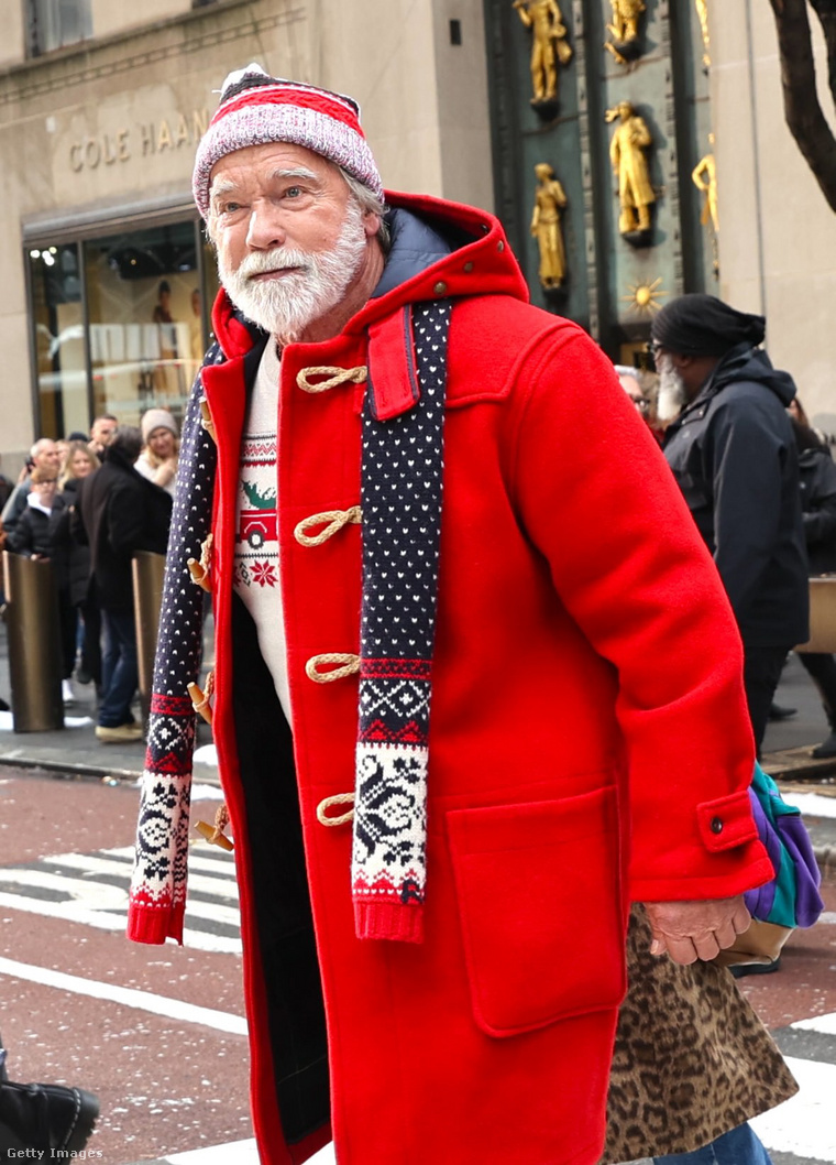 Arnold Schwarzenegger. (Fotó: Jose Perez/Bauer-Griffin / Getty Images Hungary)