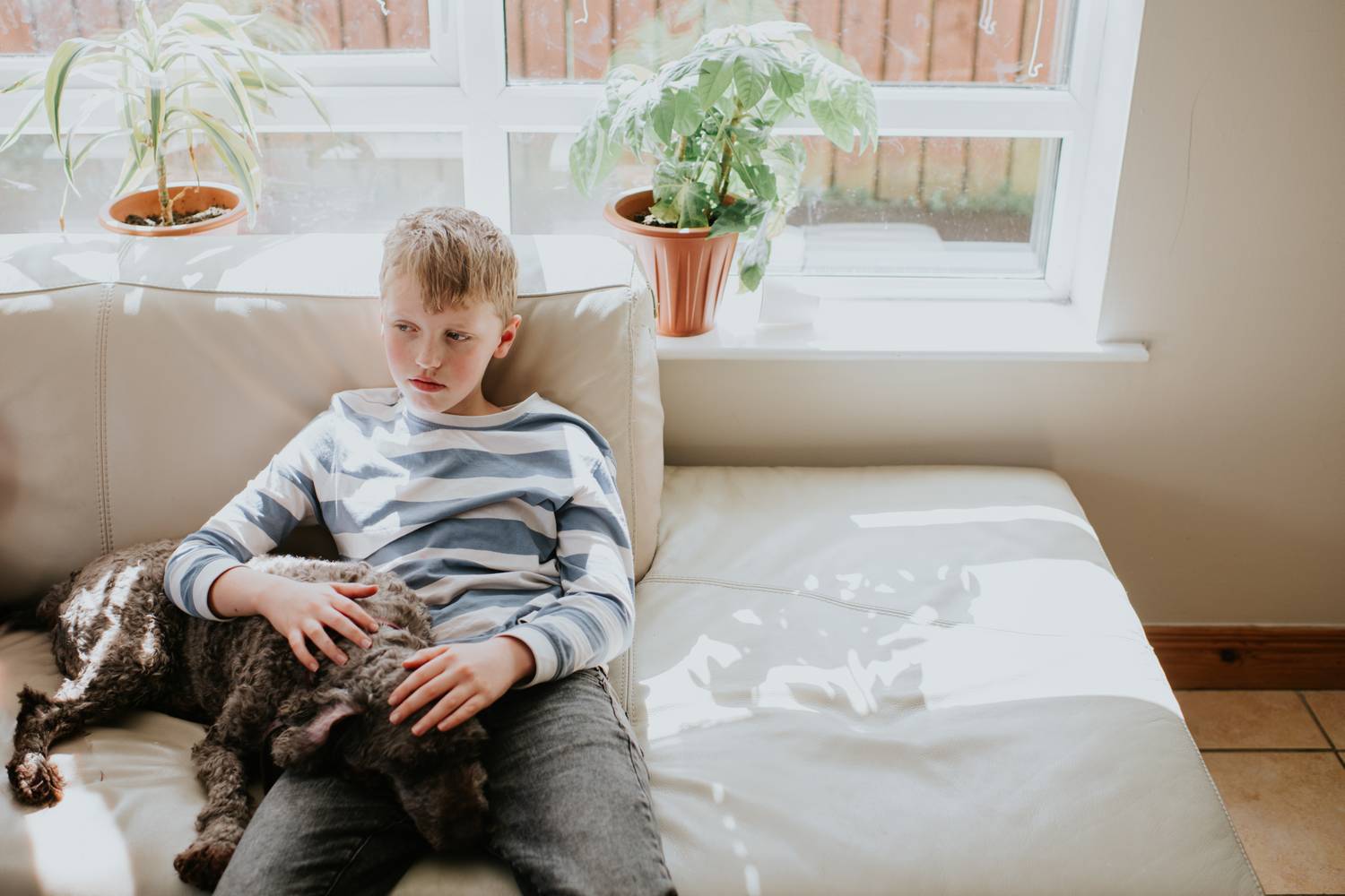 A macskával vagy kutyával való játék segíthet csökkenteni a kortizol nevű stresszhormont és bizonyítottan boldogsághormont szabadít fel a szervezetben. Már 15 perc simogatás is elegendő ehhez.