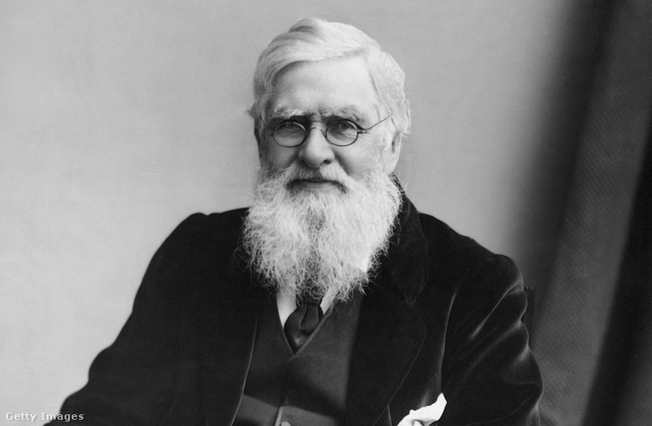 Alfred Russel Wallace tudós