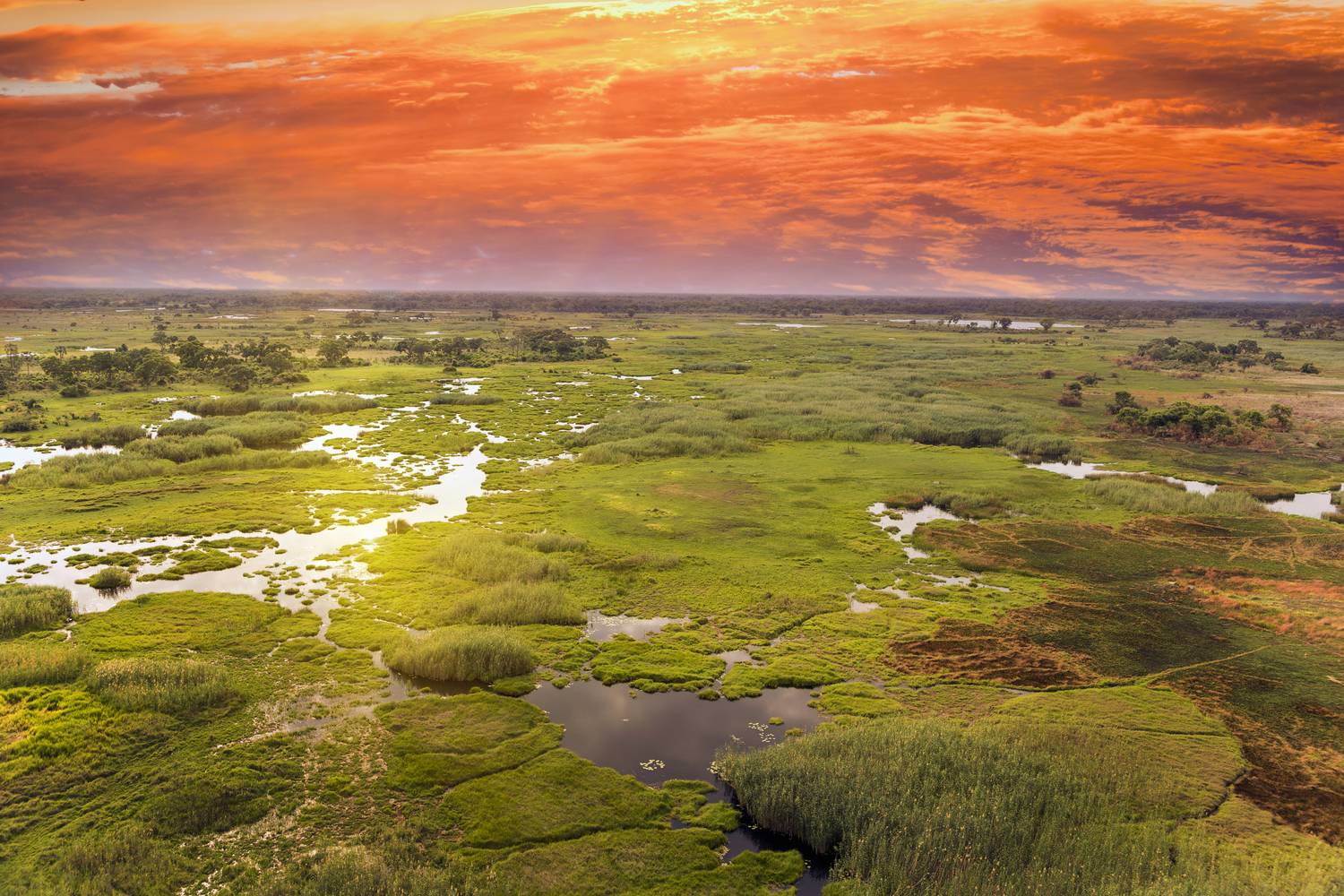 Okavango-delta