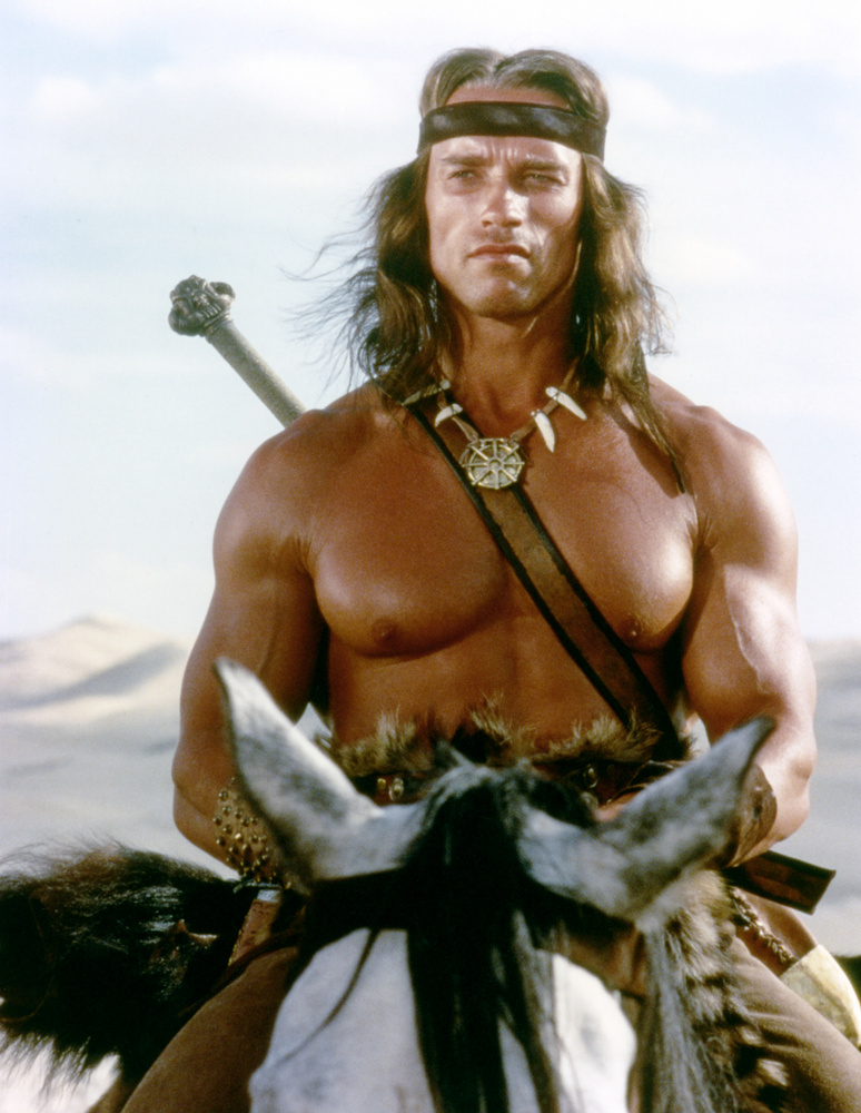 Bár már 1969-ben debütált a Hercules New Yorkban című filmben, az igazi áttörést az 1982-es Conan, a barbár hozta meg neki.