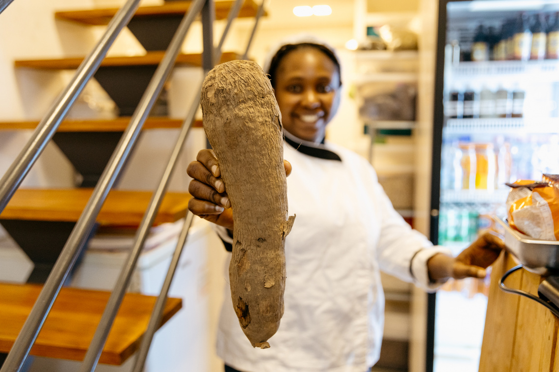 Jukkagyökér, a nigériai konyha egyik fontos alapanyaga