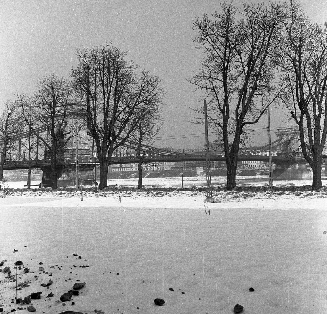 A Széchenyi lánchíd a Lánchíd utcai parkból nézve, 1963