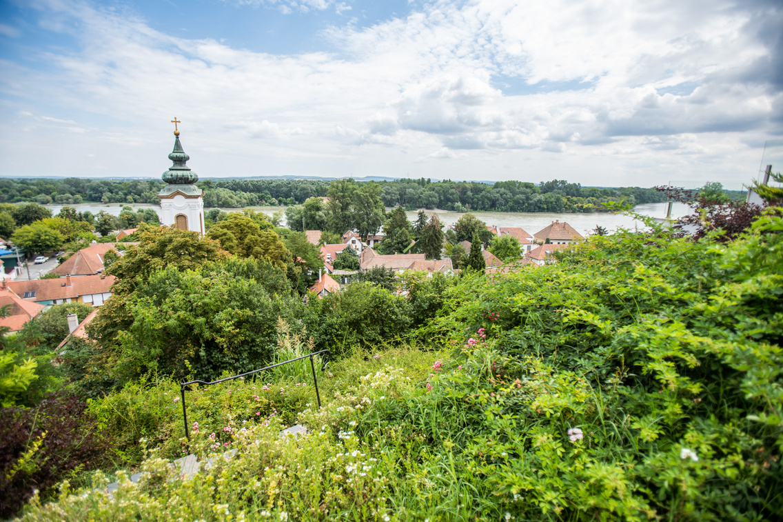 szentendre 2024.07.21 bodorkosmate-09451