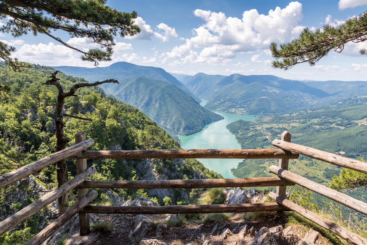 Az 1000 méter feletti csúcsokat számláló szerb Tara Nemzeti Park igazi gyöngyszem az ország nyugati régiójában. Rengeteg turistaút és kerékpáros szakasz található a park területén. Mesebeli völgyek húzódnak itt, barlangok rejtőznek a hegységek közt és patakok színesítik a kirándulók útját.