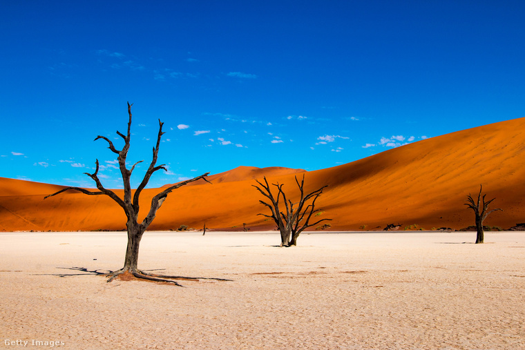 A világ egyik legkietlenebb tája: Deadvlei, Namíbia&nbsp;A Deadvlei a Namib-sivatag szívében található, és egyike a Föld legszürreálisabb tájainak