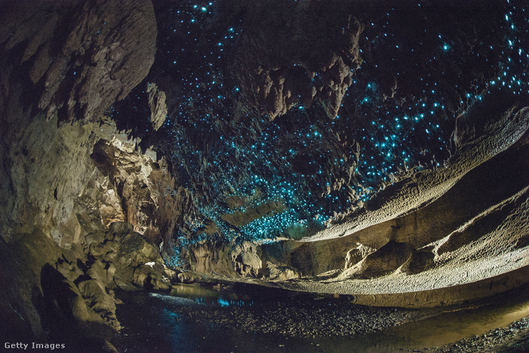 A világító barlang csodája: Waitomo Glowworm-barlangok, Új-Zéland&nbsp;Az új-zélandi Waitomo Glowworm-barlangok olyanok, mintha egy tündérmesébe csöppenne az ember