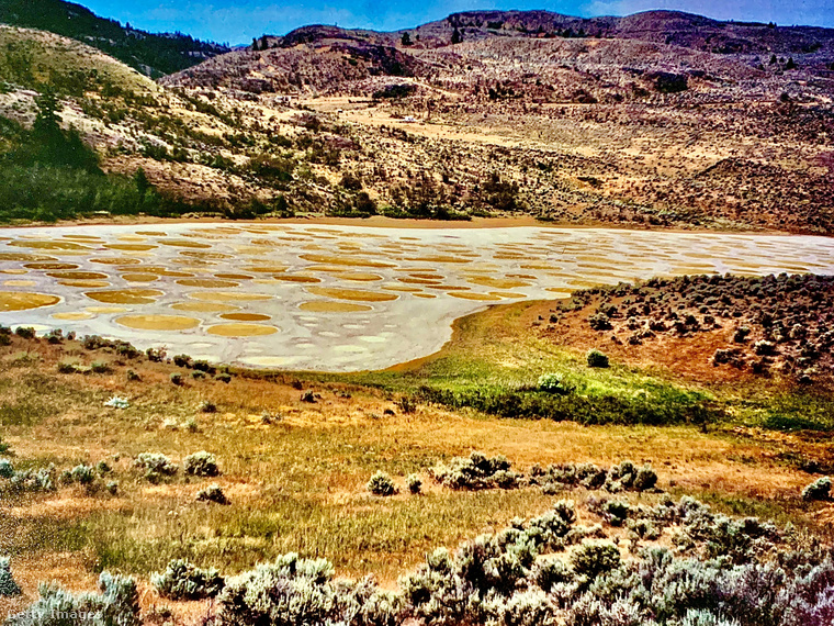 A világ egyik legkülönösebb tava: Spotted Lake, Kanada&nbsp;A kanadai Spotted Lake (Foltos-tó) egy különleges természeti csoda, amely nyáron szinte földönkívüli látványt nyújt