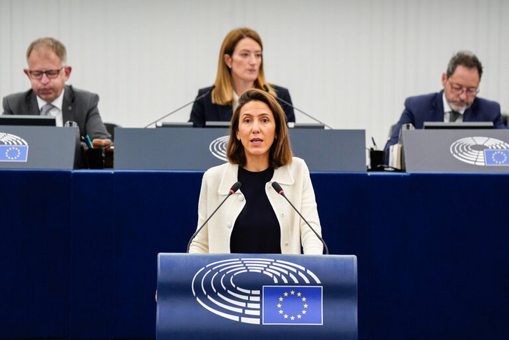Valérie Hayer