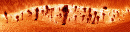 mars