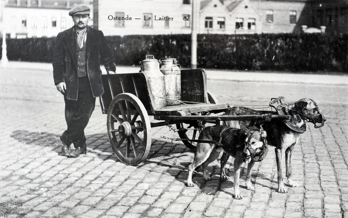fortepan 191665