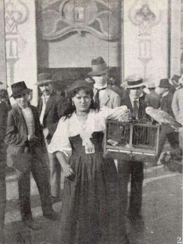Az olasz madárjósnő, Bianca Ferruciale