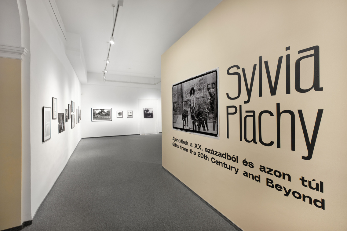 sylviaplachy enterior 3