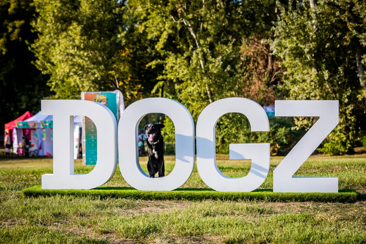 DOGZ Fesztival 1