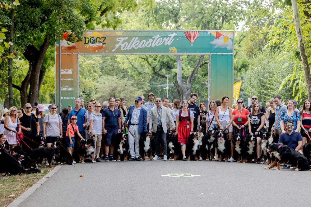 DOGZ Fesztival 3