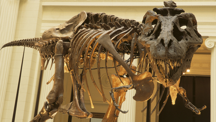 Mégsem aszteroida okozhatta a&nbsp;dinoszauruszok vesztét
