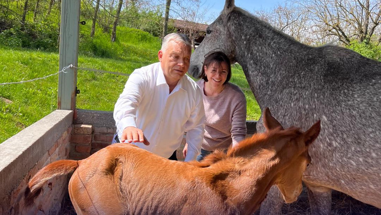 Húsvét után már bele is vetette magát a munkába Orbán Viktor