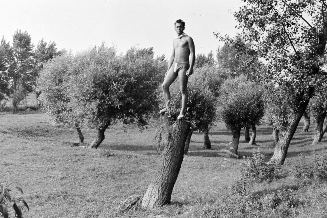 fortepan torok kalman (3)