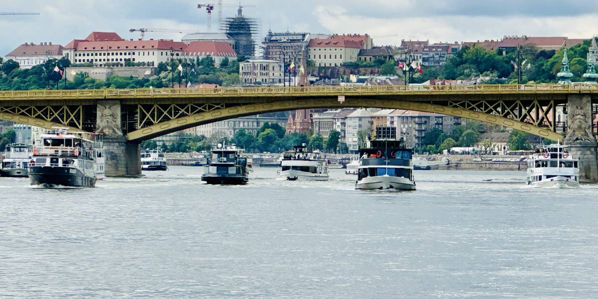 Catch a free sightseeing cruise on the Danube