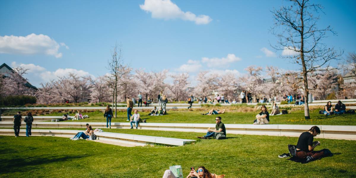 Budapest in bloom: Spring vibes in photos