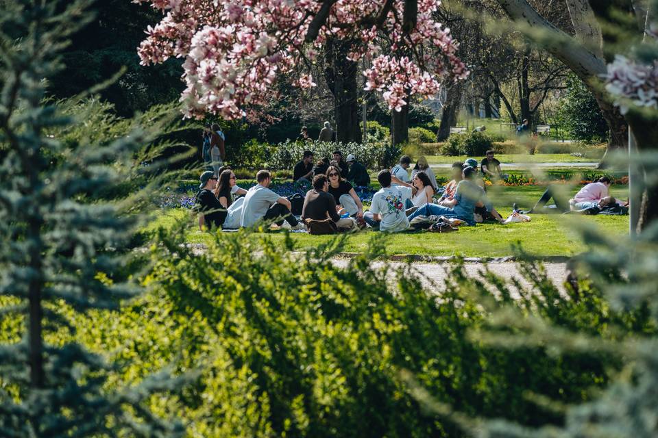Budapest Weekend Guide 25-27 April